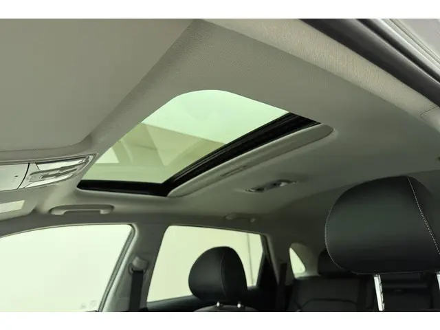 Kia e-Niro ExecutiveLine 64 kWh 2021 Elektrisch 19