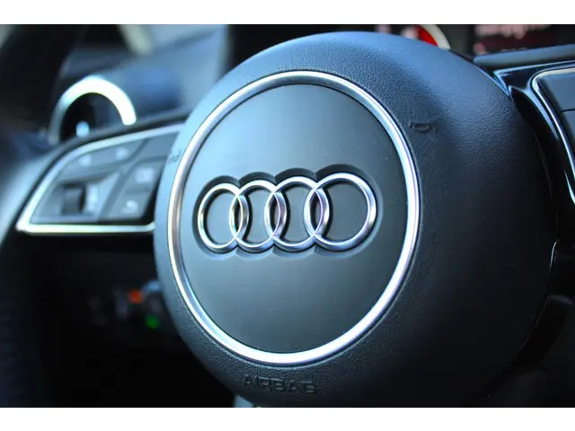 Audi Q2 1.0 TFSI #limited 2018 Benzine 17