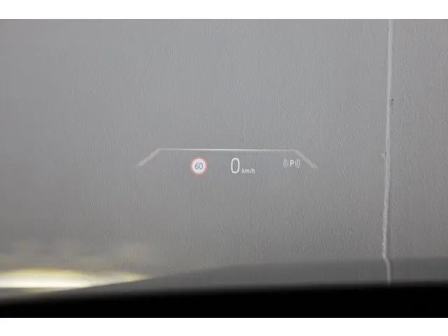 BMW iX xDrive40 2024 Elektrisch 13