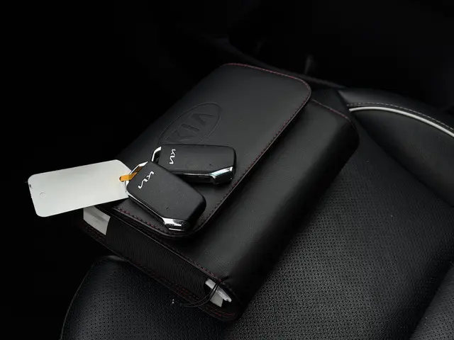 Kia e-Niro Aut. ExecutiveLine 64kWh 2021 Elektrisch 32