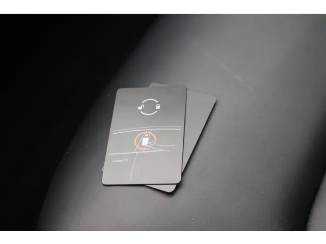 Tesla Model 3 Performance AWD 75 kWh 2019 Elektrisch 52