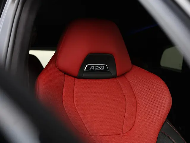 BMW XM PHEV Label Red 30 kWh 2025 Hybride Benzine 32