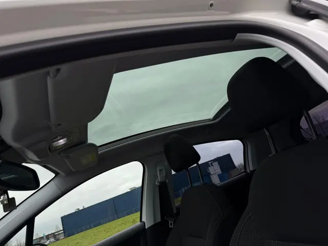 Peugeot 208 1.2 PureTech Access 2017 Benzine 10