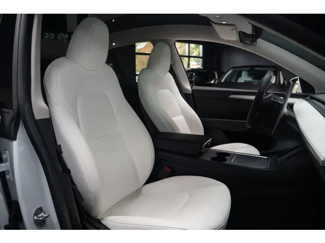 Tesla Model Y Long Range AWD 75 kWh 2023 Elektrisch 11