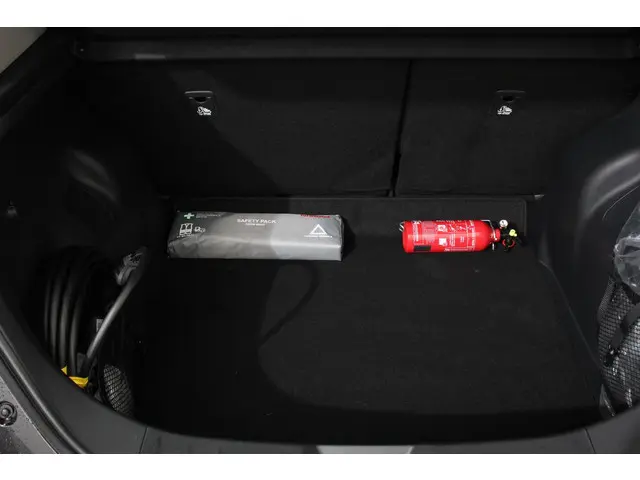 Nissan Leaf N-Connecta 40 kWh 2019 Elektrisch 14