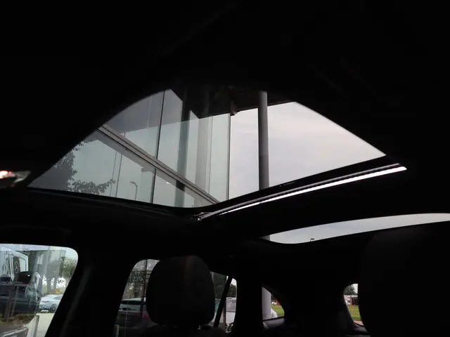 Mercedes-Benz EQA 250+ AMG Line 71 kWh 2025 Elektrisch 11