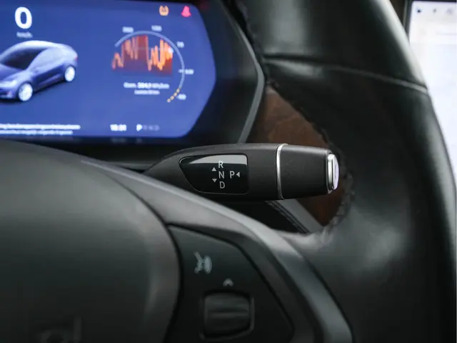 Tesla Model X 100D AWD [ 3-Fase ] 2018 Elektrisch 19