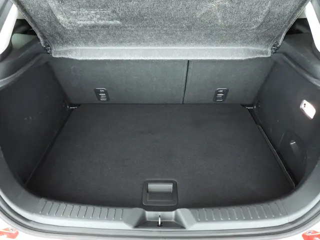 Mazda CX-3 2.0 SkyActiv-G 120 TS+ 2017 Benzine 10