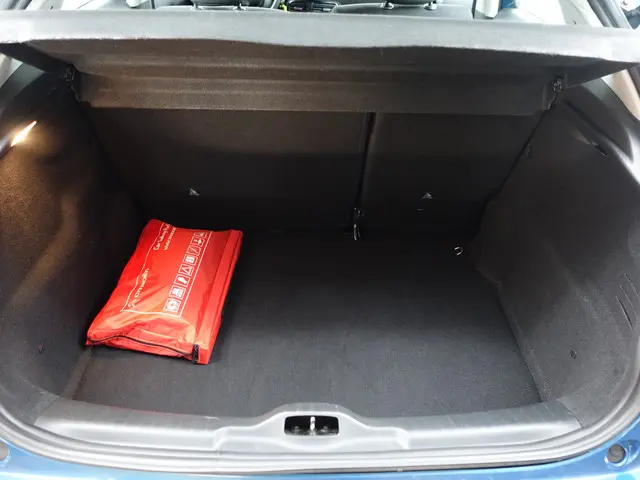 Citroën C4 Cactus 1.2 PureTech Feel 2019 Benzine 29