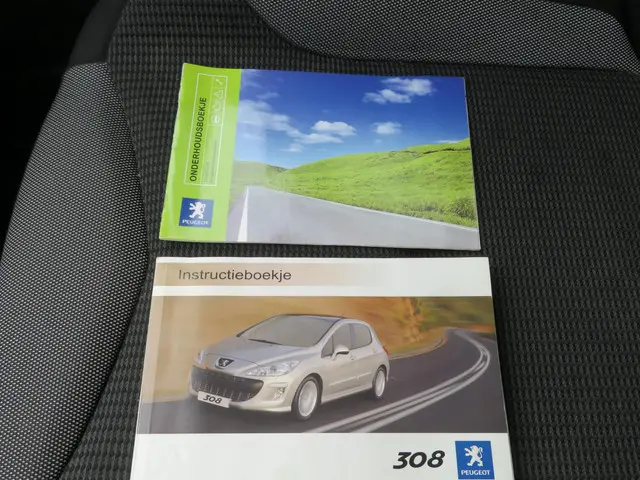 Peugeot 308 1.6 VTi XS 2008 Benzine 15