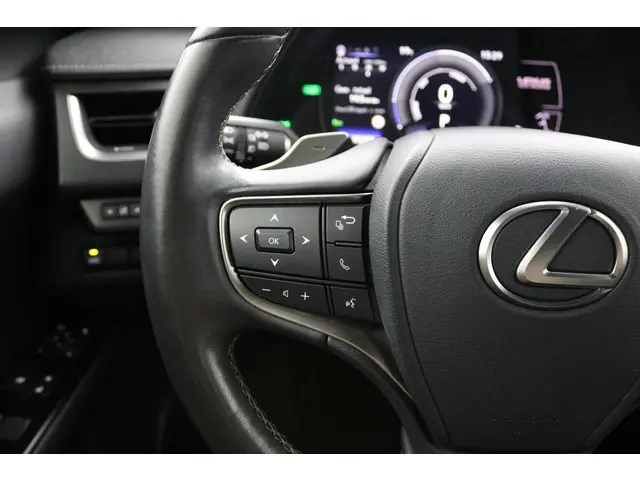 Lexus UX 300e Business 54 kWh 2020 Elektrisch 18