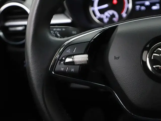 Škoda Fabia 1.0TSI DSG Edition 2023 Benzine 14