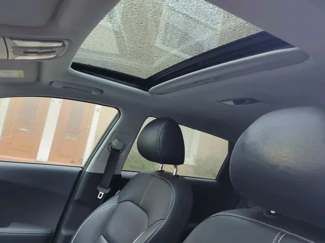 Kia e-Niro ExecutiveLine 64 kWh 2021 Elektrisch 9