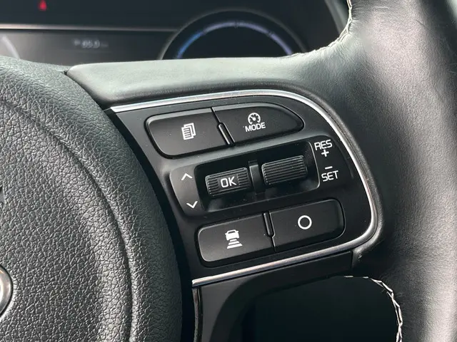 Kia e-Niro ExecutiveLine 64 kWh 2020 Elektrisch 13