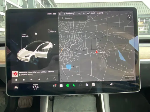 Tesla Model 3 Standard RWD Plus 60 kWh 2020 Elektrisch 29