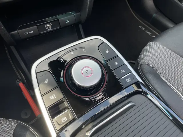Kia e-Niro DynamicPlusLine 64 kWh 2022 Elektrisch 16