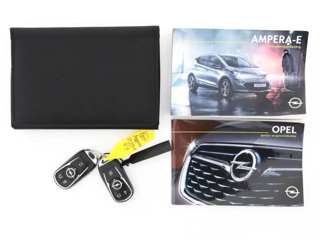 Opel Ampera-e Business Executive 60 kWh 2018 Elektrisch 28