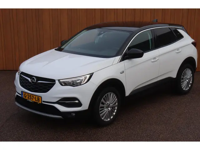 Opel Grandland X 1.2 Turbo Innovation org. NL 2019 Benzine 6