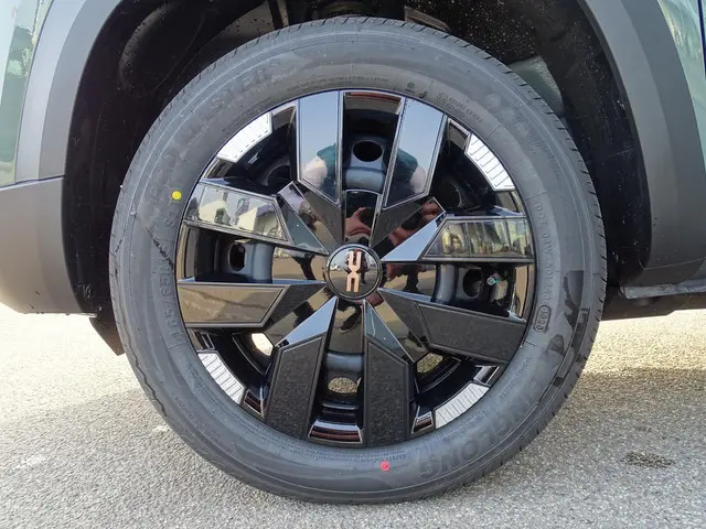 Dacia Spring Extreme 100 24.3 kWh 2026 Elektrisch 30