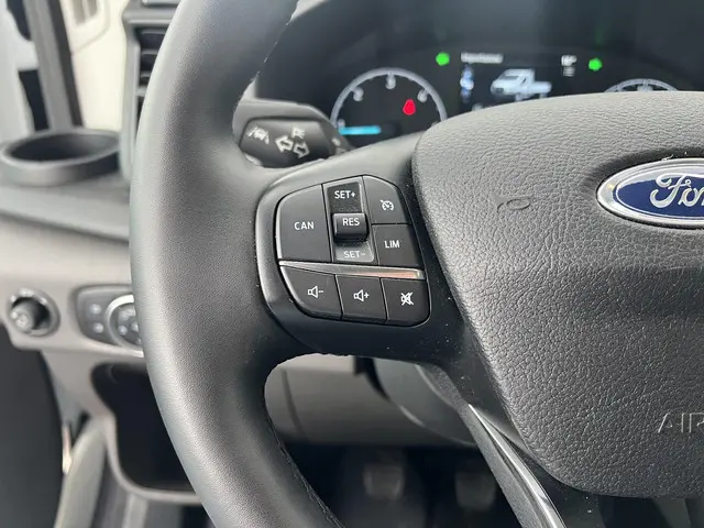 Ford Transit 350 2.0 TDCI L4H1 2024 Diesel 10