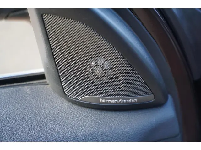 BMW X1 SDrive20i EERSTE EIGENAAR PANO 2016 Benzine 4