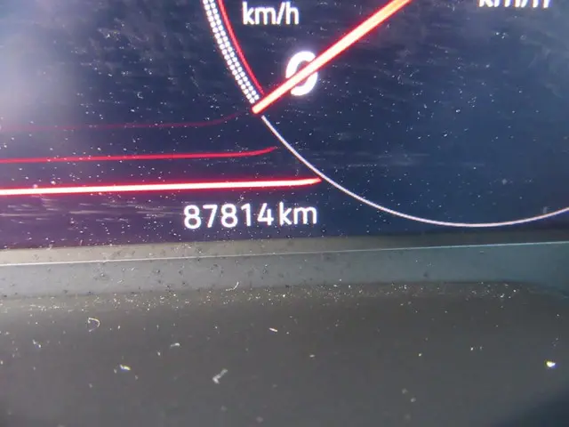 Volkswagen Polo 2.0 TSI GTI 2019 Benzine 36