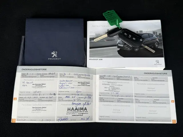 Peugeot 208 1.2 PureTech Blue Lion 2017 Benzine 26