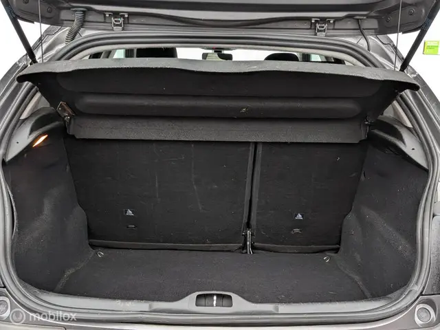 Citroën C4 Cactus 1.2 PureTech One-Tone 2017 Benzine 9