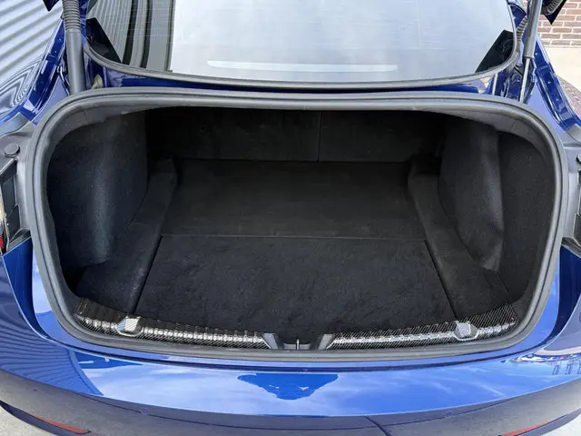 Tesla Model 3 Long Range AWD 75 kWh 2021 Elektrisch 29