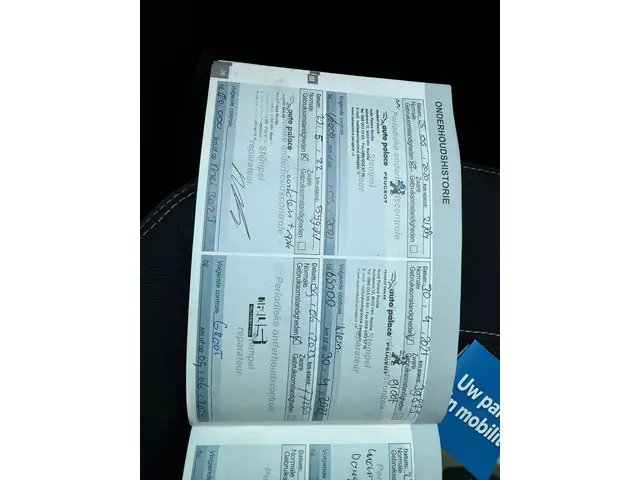 Peugeot 208 1.2 PureTech Blue Lion 2017 Benzine 50