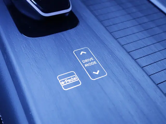 Nissan ARIYA Limited Edition 87 kWh 2026 Elektrisch 21