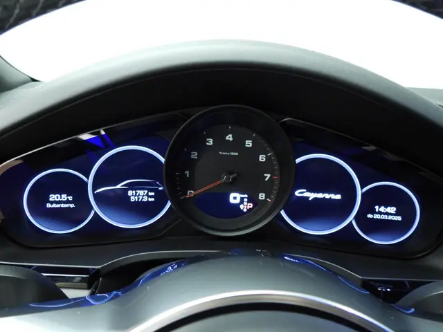 Porsche Cayenne 3.0 2019 Benzine 12
