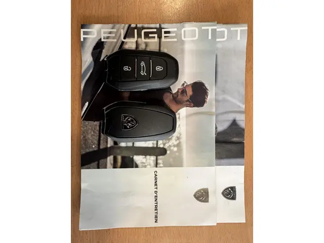 Peugeot 408 1.6 HYbrid GT 180 EAT8 2023 Hybride Benzine 12