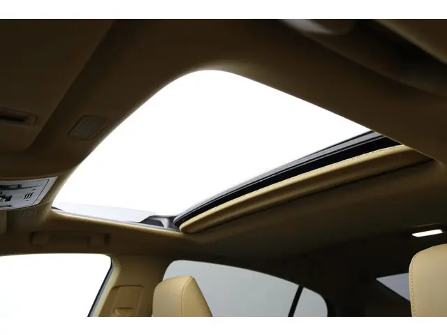 Lexus ES 300h Business Line 2024 Hybride Benzine 52