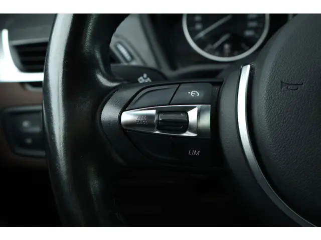 BMW X1 sDrive20i Centennial High Executive 2017 Benzine 14