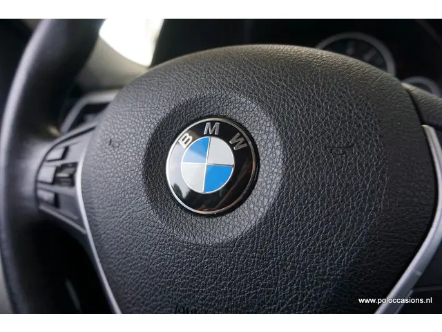 BMW 3 Serie 320d EDE 2014 Diesel 15