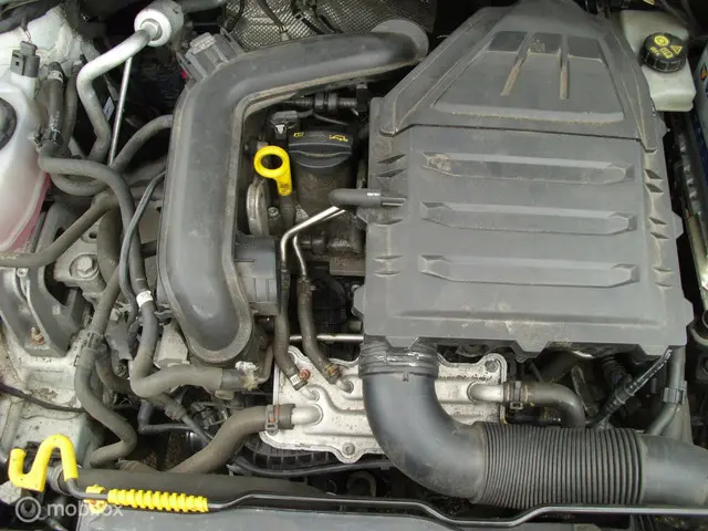 Volkswagen Polo 1.0 TSI Beats 2019 Benzine 20