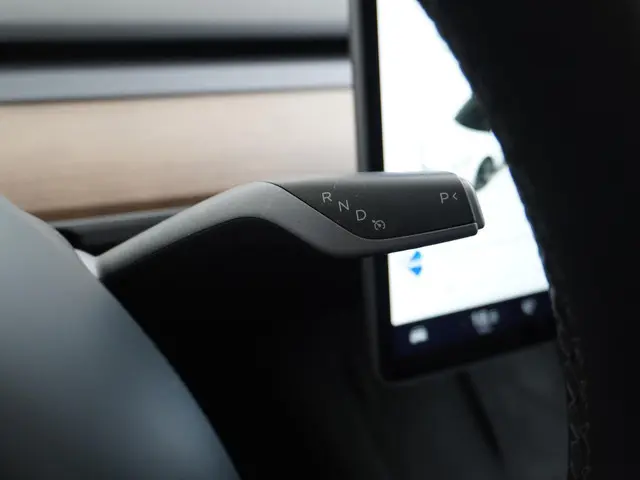 Tesla Model 3 Standard RWD Plus 60 kWh 2021 Elektrisch 28