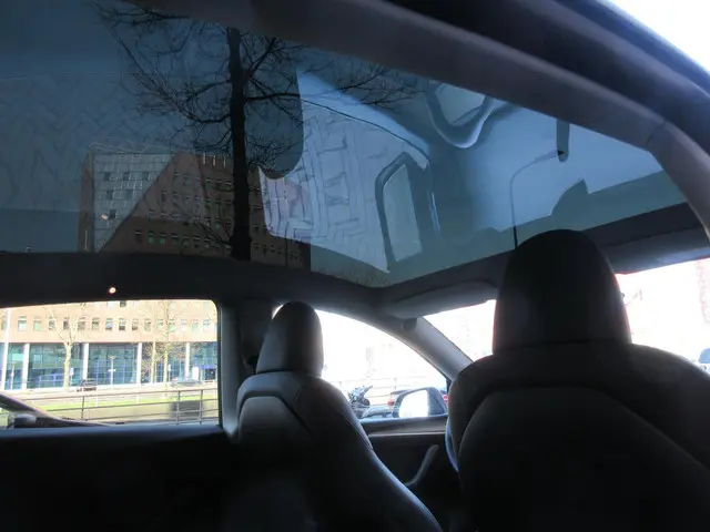 Tesla Model Y RWD 58 kWh 2023 Elektrisch 13