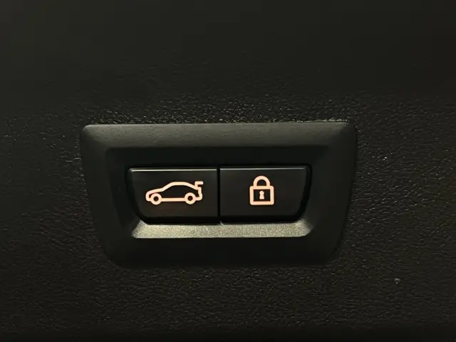 BMW X4 xDrive30i High Executive 2020 Benzine 15