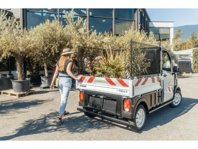 Aixam E-Truck eTruck laadbak 2023 Elektrisch