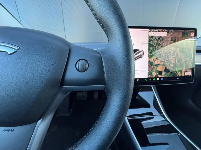 Tesla Model 3 Standard RWD Plus 60 kWh 2019 Elektrisch 22