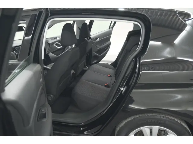 Peugeot 308 PureTech 110 Blue Lease Active 2021 Benzine 29