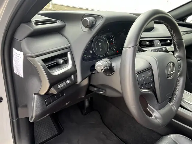 Lexus UX 250h Luxury Line 2020 Hybride Benzine 62