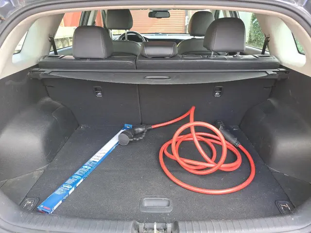Kia e-Niro DynamicLine 64 kWh 2020 Elektrisch 14