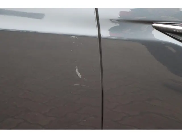 Tesla Model S Performance 2020 Elektrisch 14