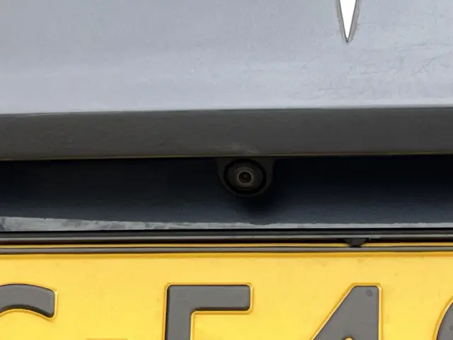 Tesla Model 3 Performance AWD 75 kWh 2019 Elektrisch 50