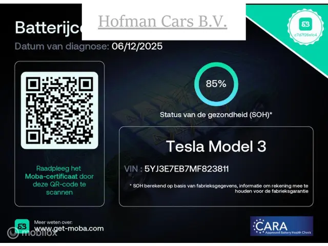 Tesla Model 3 Long Range AWD 75 kWh 2020 Elektrisch 2