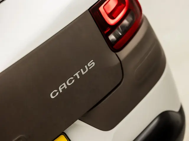 Citroën C4 Cactus 1.2 PureTech Shine 2016 Benzine 25