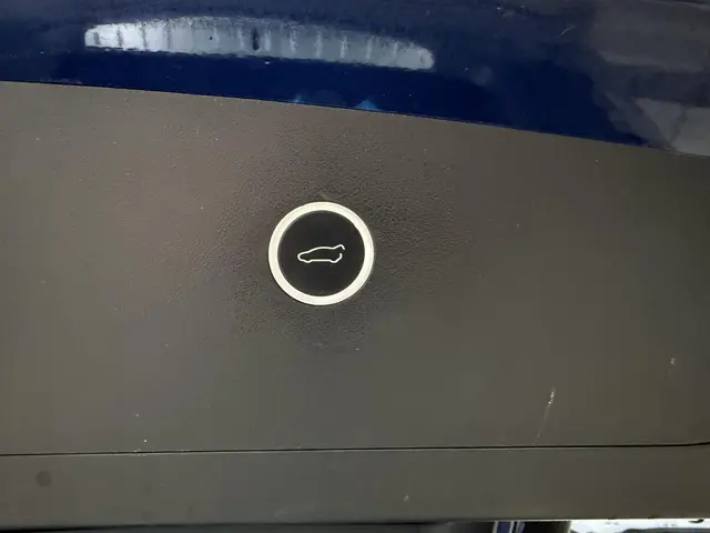 Tesla Model X 75D Aut. 2018 Elektrisch 18